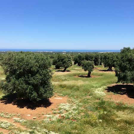 Masseria Capece Pezze Di Greco Εξωτερικό φωτογραφία
