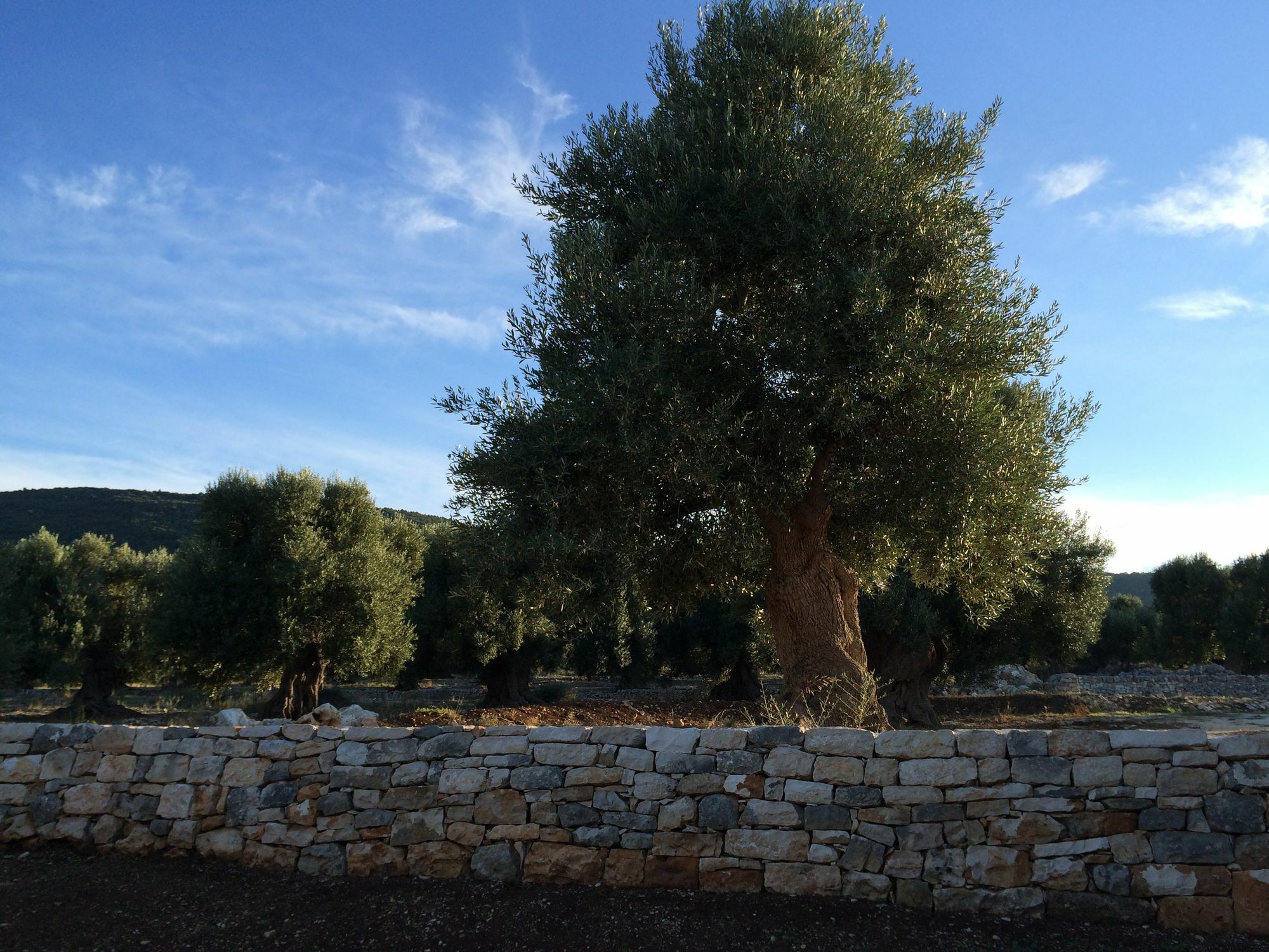 Masseria Capece Pezze Di Greco Εξωτερικό φωτογραφία