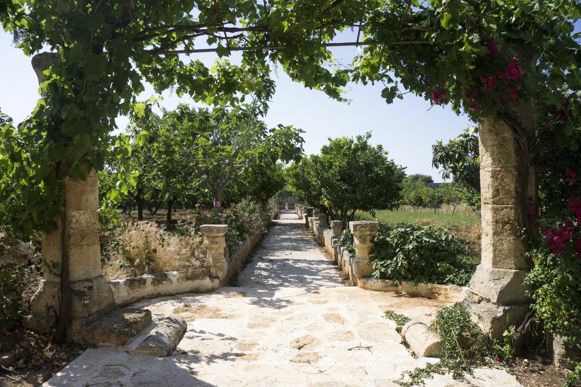 Masseria Capece Pezze Di Greco Εξωτερικό φωτογραφία